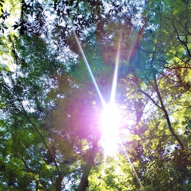 あなたは幸せになるために生まれてきました！